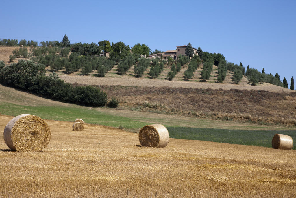 Agriturismo Podere Olivello In Val D'Orcia Монтальчино Экстерьер фото